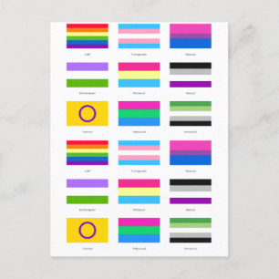 Cartão Postal De Anúncio LGBTQIA Pride 9 x FLAGS Rainbow Advertência Chic