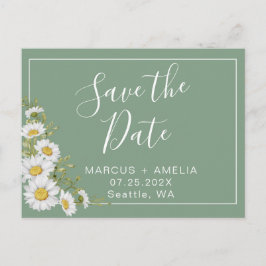 Cartão Postal De Anúncio Lindas Margaridas Brancas e Verdes de Manjericão