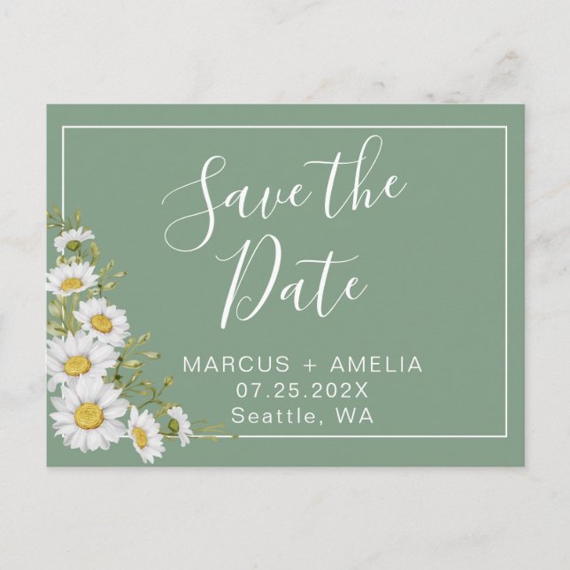 Cartão Postal De Anúncio Lindas Margaridas Brancas e Verdes de Manjericão (Frente)