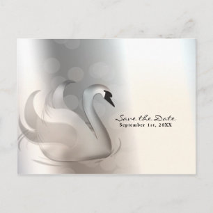 Cartão Postal De Anúncio Lindo Cisne Prata Elegante Chic Salvar a Data
