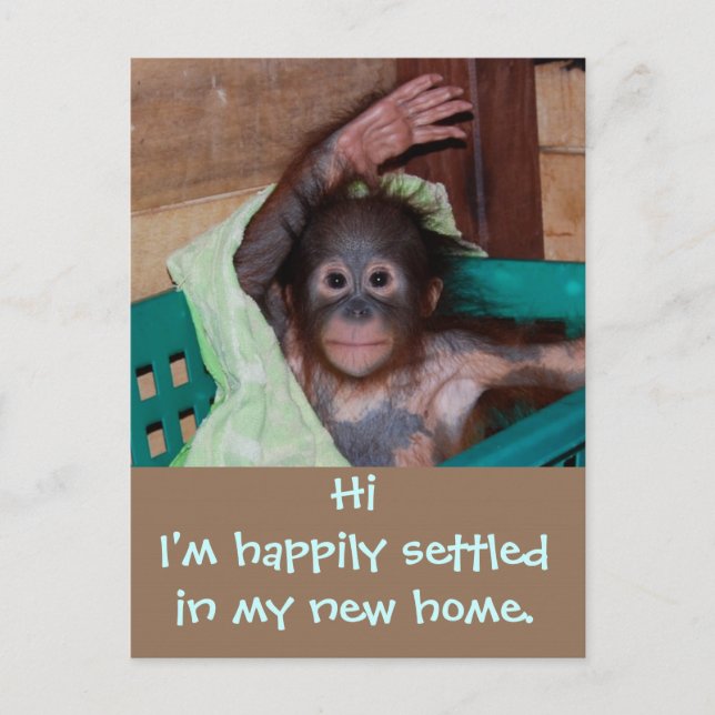 Cartão Postal De Anúncio Lindo Novo Lar Mudança de Endereço (Frente)