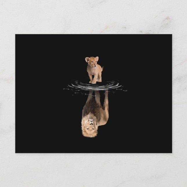 Cartão Postal De Anúncio Lion Life Lion Love King Lion (Frente)