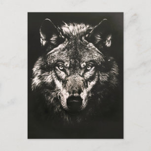 Cartão Postal De Anúncio Lobo Selvagem Monocromático Majestoso