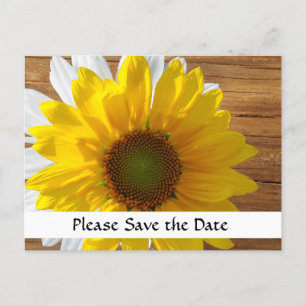 Cartão Postal De Anúncio Madalena de Madeira Girassol Save the Date