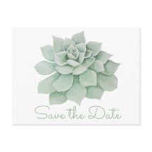 Mint Green Salve A Data Do Casamento Do Suculente 