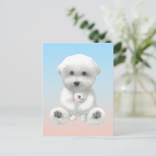 Cartão Postal De Anúncio Momento Aconchegante: Bichon Frise Sorridente Abra