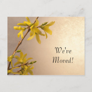 Cartão Postal De Anúncio Mudança de endereço do Primavera Amarelo Forsythia