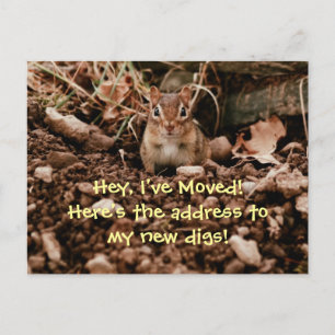 Cartão Postal De Anúncio Mudança do cartão do Chipmunk de endereço