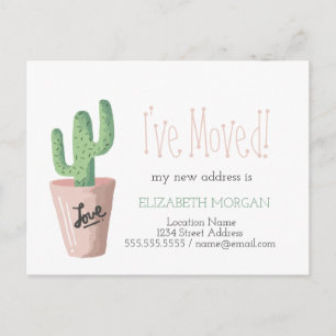 Cartão Postal De Anúncio Mudei Amor de Cactus Novo Endereço