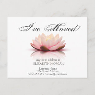 Cartão Postal De Anúncio Mudei, Flor de Lótus Novo Endereço