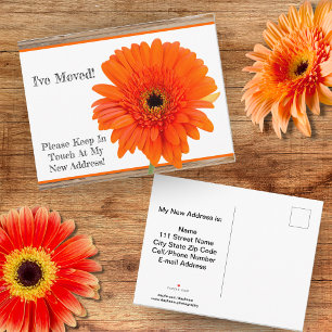 Cartão Postal De Anúncio Mudei-me! Gérbera Laranja Com Madeira Cartão-Posta