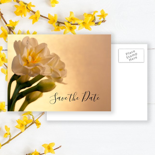 Cartão Postal De Anúncio Narciso Duplo Branco na Primavera Casamento Save t (Criador carregado)