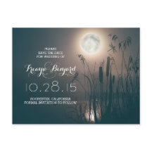 noite de lua de cheio de libélula e cattails guard