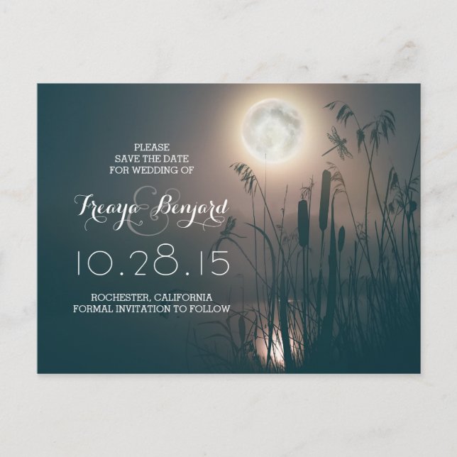 Cartão Postal De Anúncio noite de lua de cheio de libélula e cattails guard (Frente)