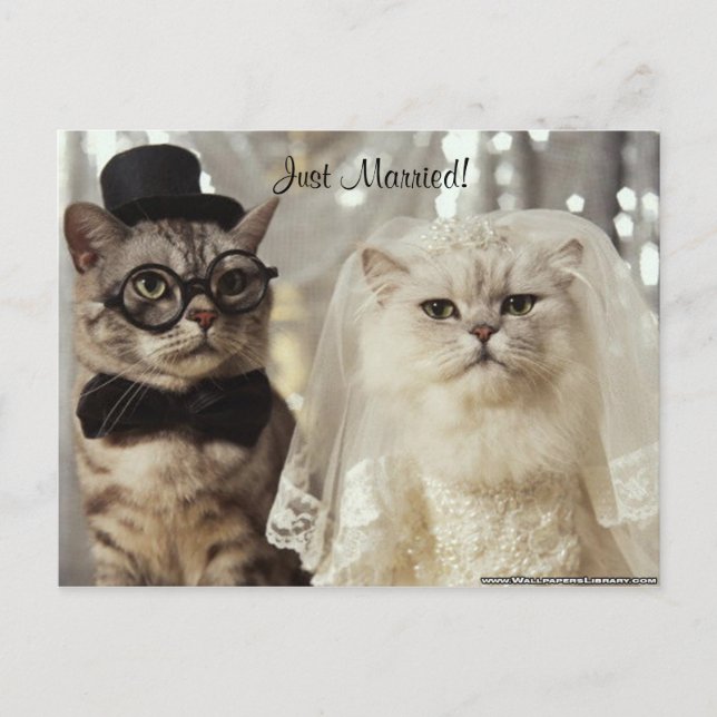 Cartão Postal De Anúncio Nós Acabamos de Fazer Isso! (Frente)