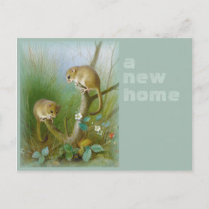 Cartão Postal De Anúncio Nova casa CC0112 Archibald Thorburn Dormice