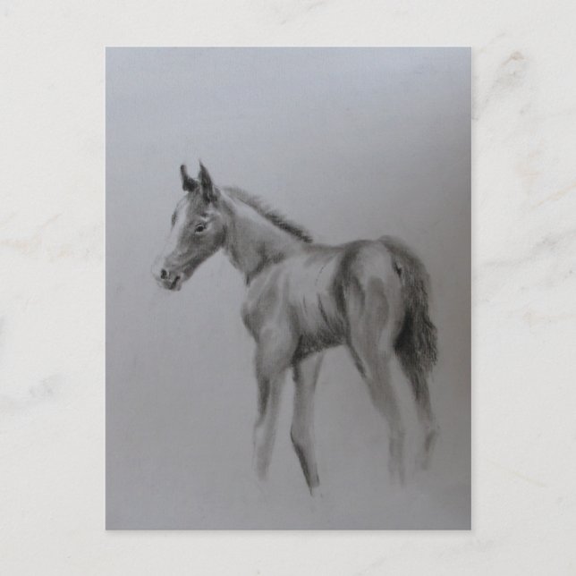 Cartão Postal De Anúncio Novo Bebê (Frente)