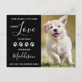 Cartão Postal De Anúncio Novo Cachorrinho de Estimação