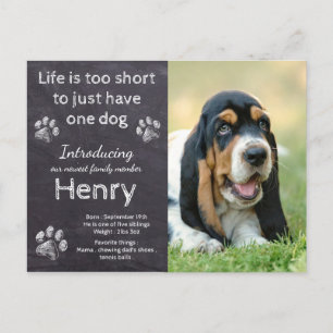 Cartão Postal De Anúncio Novo Cachorro-Pet Foto Rústico Cachorro Cachorro