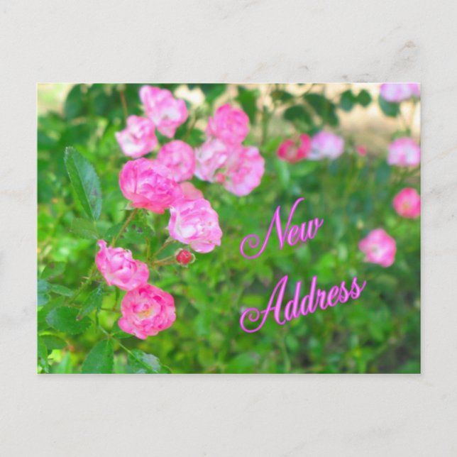 Cartão Postal De Anúncio Novo Endereço (Frente)