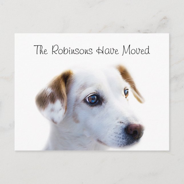 Cartão Postal De Anúncio Novo Endereço do Cachorrinho Fofo (Frente)