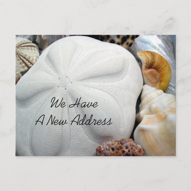 Cartão Postal De Anúncio Novo endereço: Sea Biscuit (Frente)