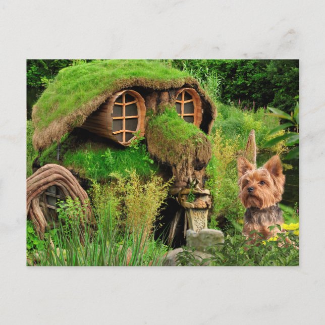 Cartão Postal De Anúncio Novo Endereço Yorkie (Frente)