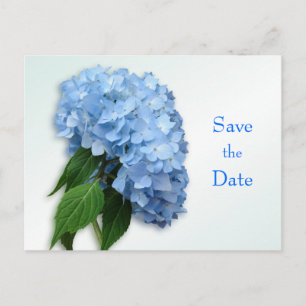 Cartão Postal De Anúncio Novo Hydrangea Azul Casamento Salvar o Cartão-Post