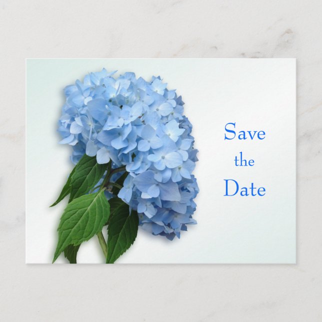 Cartão Postal De Anúncio Novo Hydrangea Azul Casamento Salvar o Cartão-Post (Frente)