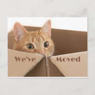 Cartão Postal De Anúncio Novo lembrete de endereço divertido, novo cartão p