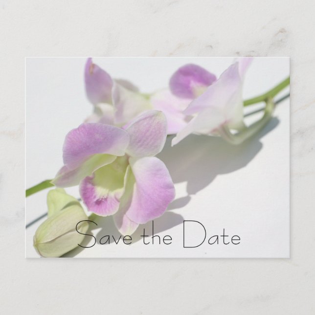 Cartão Postal De Anúncio Orchid Photo Save the Date Postcard (Frente)