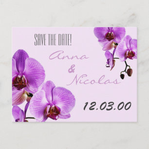 Cartão Postal De Anúncio Orquídeas roxas recém cortadas