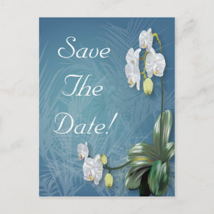 Cartão Postal De Anúncio Orquídeas & Samambaias Casamento Salve a Data