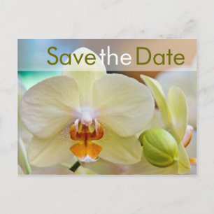 Cartão Postal De Anúncio Orquídeo ・ Salve a data do Postkarte