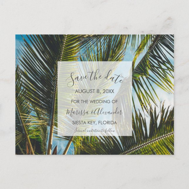 Cartão Postal De Anúncio Palm Tree Beach Weding Dates (Frente)