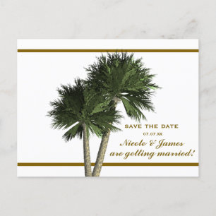 Cartão Postal De Anúncio Palm Trees White E Dourado Elegante Salve A Placa