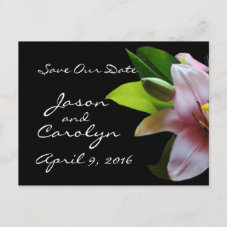 Cartão Postal De Anúncio Papel Higiênico Personalizado Lily- personalize qu