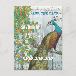 Cartão Postal De Anúncio Pássaro de Amor Pavão Sentado em uma Árvore Salve