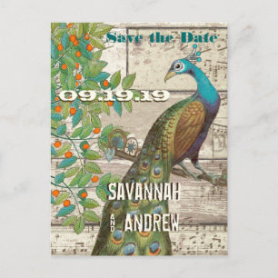 Cartão Postal De Anúncio Pássaros de Amor Pavão Sentados em uma Árvore Salv