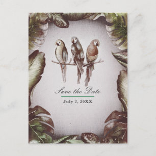 Cartão Postal De Anúncio Pássaros Tropicais Tiki Vintage Papagaios Salve a 