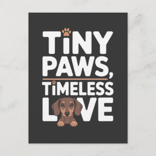 Cartão Postal De Anúncio Patas Pequenas Dachshund, Amor Atemporal