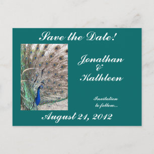 Cartão Postal De Anúncio Peacock Bird Animal Salve a Data Casamento
