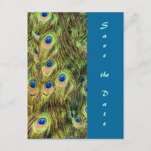 Cartão Postal De Anúncio Peacock Feather Salve o Cartão de Data