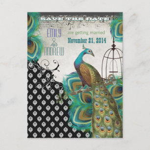 Cartão Postal De Anúncio Penas de Pavão Save the Date da Gaiola