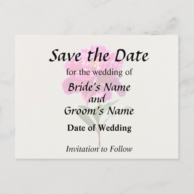 Cartão Postal De Anúncio Peônia Rosa Vibrante (Frente)