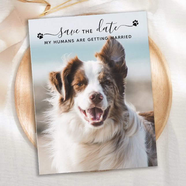 Cartão Postal De Anúncio Personalized Dog Wedding Pet Photo Save The Date (Criador carregado)