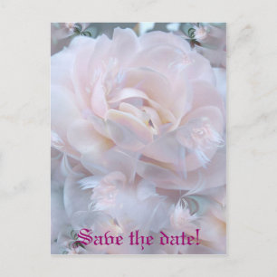 Cartão Postal De Anúncio Pétalas cor-de-rosa