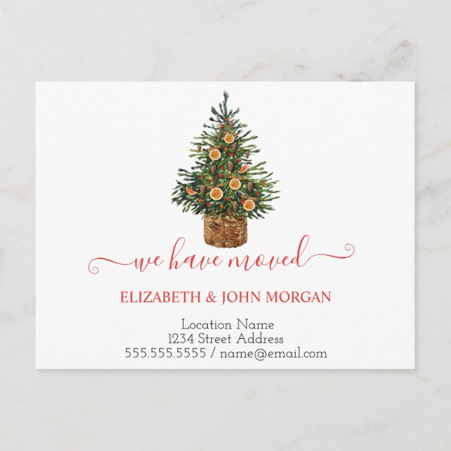 Cartão Postal De Anúncio Pine Tree Orange Nós Nos Movemos (Frente)