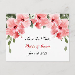 Cartão Postal De Anúncio Pink Hibiscus Salve o Cartão-Postal de Data