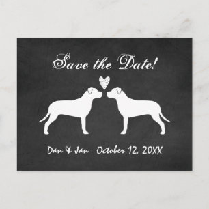 Cartão Postal De Anúncio Pit Bull Terriers Casamento Salve a Data